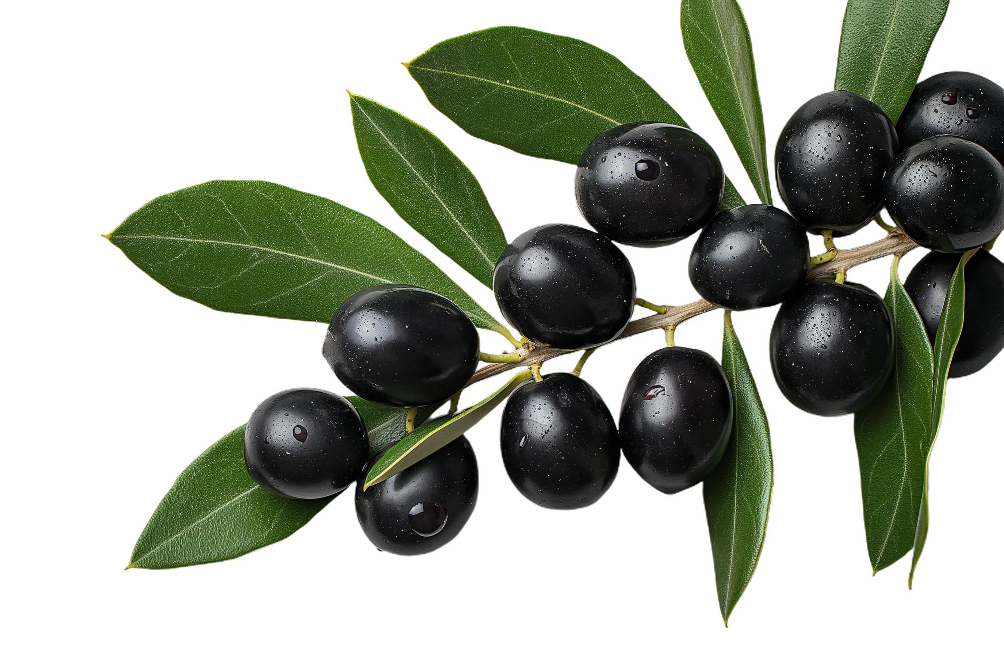 Pourquoi les olives noires font-elles du bien ?